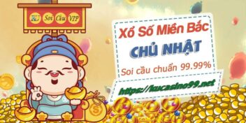 KU soi cầu miền Bắc siêu chuẩn